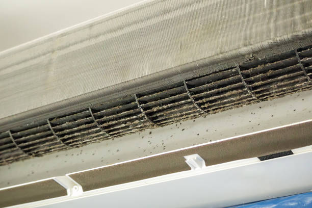 Best Emergency Air Duct Cleaning  in Oak Hill, FL